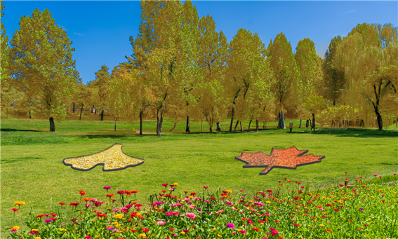 낙엽 포토존. 출처:서울어린이대공원